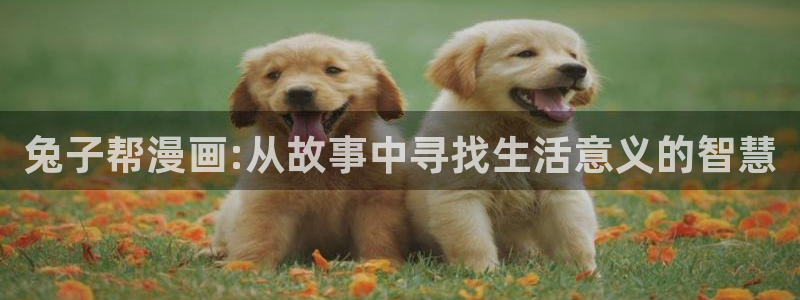 奇漫屋漫画憧憬成为魔法少女：兔子帮漫画:从故事中寻找生活意义的智慧